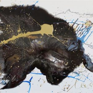 GN 0804