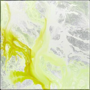 MS 0003