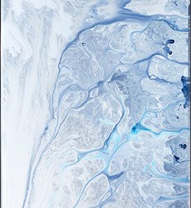 MS 0005