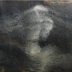 RL 0043