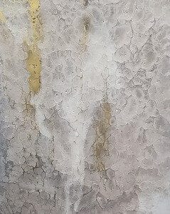RL 0061