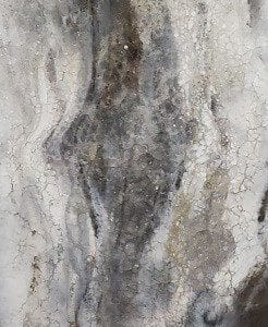 RL 0088