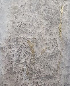 RL 0062