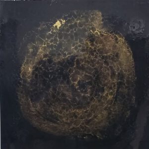 RL 0011