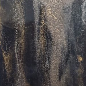 RL 0005